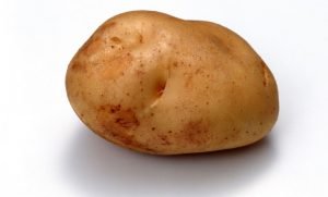 potato